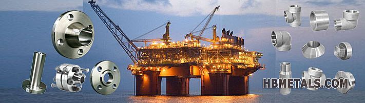 Forged Flange and Forged Fittings